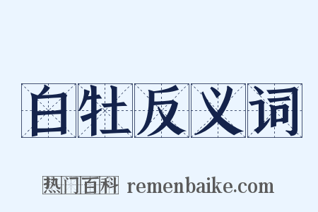 白牡反义词是什么意思的图片